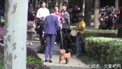 孙俪被当免费保姆使唤：你对她掏心掏肺，她对你狼心狗肺