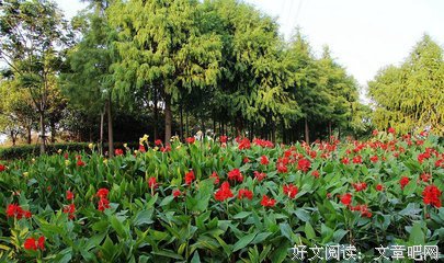 我的妈妈，是小三