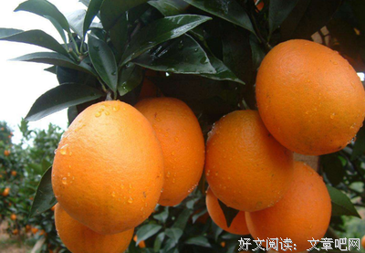 滴墨成伤经典的句子