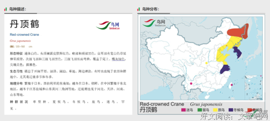 一句一图句子大全