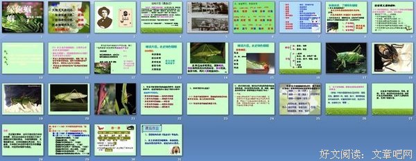 科学的诞生读后感1000字