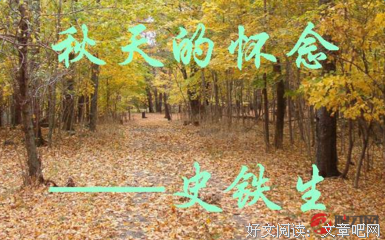 一封谁见了都会怀念我的长信的读后感大全