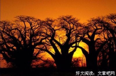 最全的《太难相处》经典名句