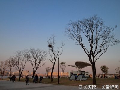 关于淡淡撒花的夏末的句子