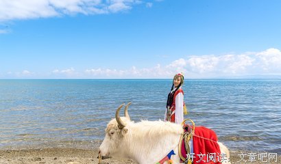 《白牦牛》经典影评有感