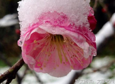 醉人的句子