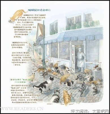《猫国叽里咕噜宝典》读后感精选
