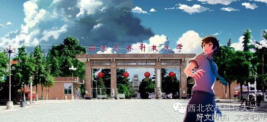  记住你的名字