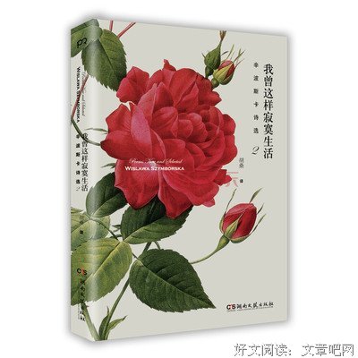 《我曾这样寂寞生活》经典读后感有感
