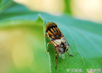 《科学迷宫里的顽童与大师》读后感1000字
