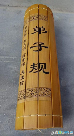 大学语文的课堂和书房读后感100字