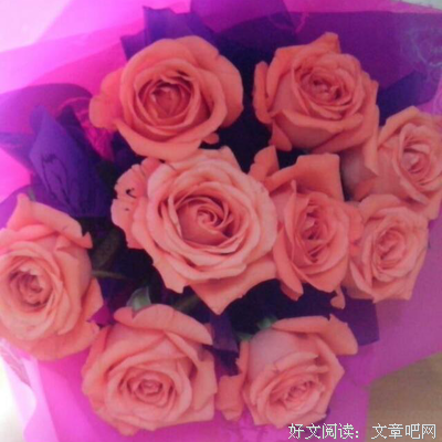 夏伤的名句_关于夏伤的名句
