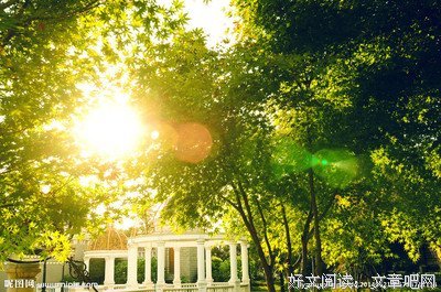描写夏光的语句摘抄