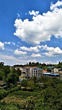 夏意的句子