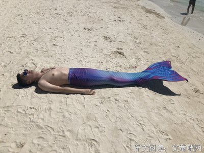 像鱼、3
