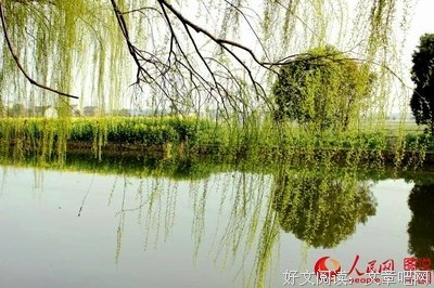 喜欢春天里的乡村