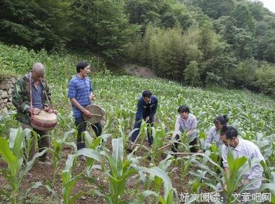 禅是一支歌句子