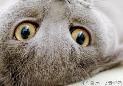 关于空城梦魇 Dusty°的优美句子