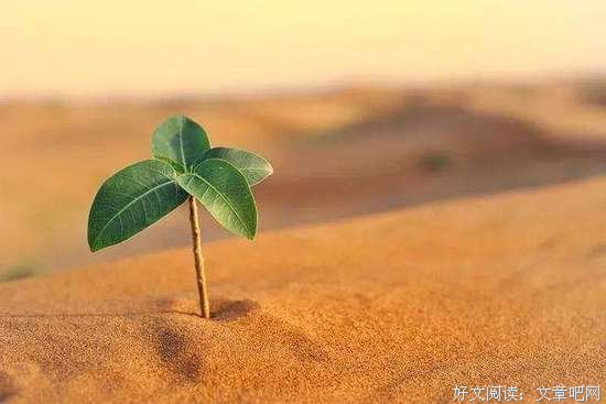 人生25大定律:一辈子一盘棋， 每一步都是自己走出来的！ 