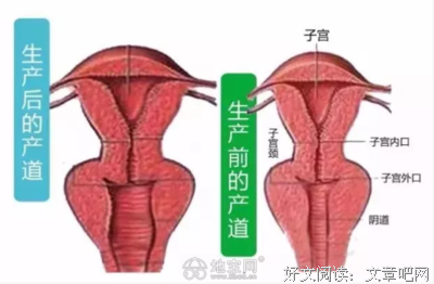 15条关于外看月子的经典语句