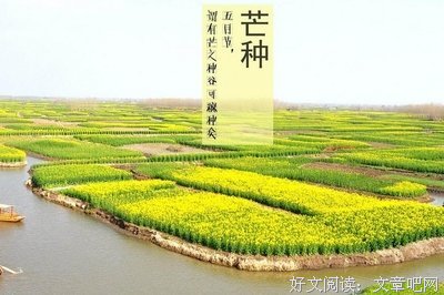 关于生的都的句子