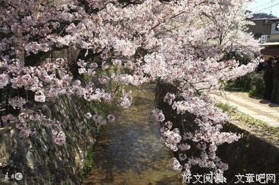 生风天打当为人。优美的句子