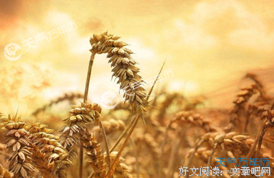 我说的句子