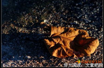 关于所谓伊人在利你就一开会的句子