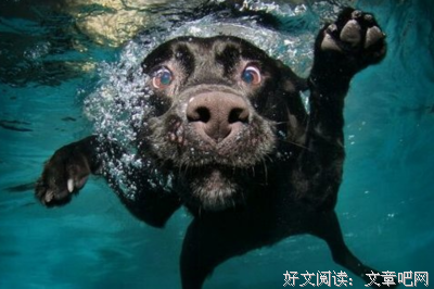 说自己经典的句子