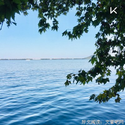 《阿尔谢尼耶夫的一生》读后感摘抄