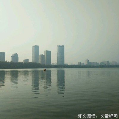 岁岁年年读后感100字