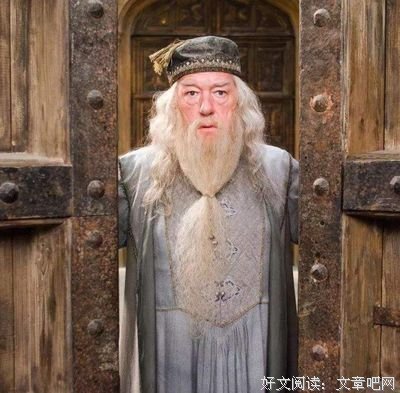 描写多比都的经典句子