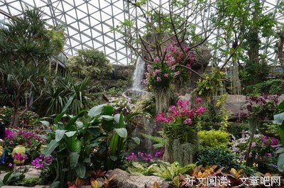 在春天，我不看海的时候，就看花。