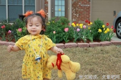 春天日记：感慨啥 干就是了！