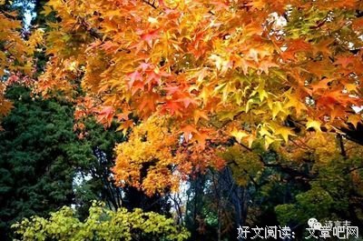 在人世间的情