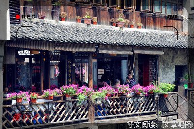 —流年似将别，浮生如梦亦如烟的句子