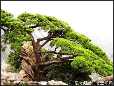 图文经典的句子