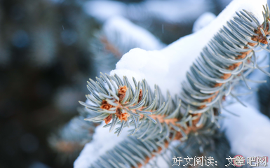 关于年还小些年。的句子