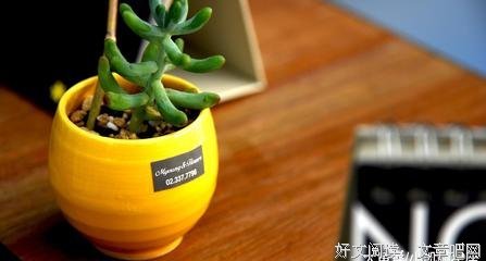 十二星座未来3个月的感情发展