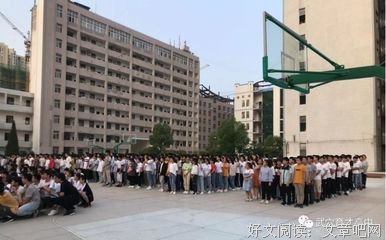 懵懵懂懂的句子