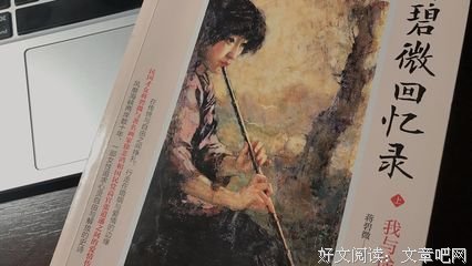 《自我与面具：回忆录写作的艺术》读后感100字