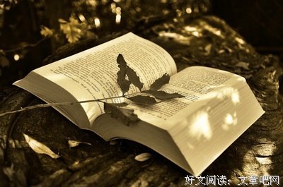 描写丹尼尔·奥利瓦的语句摘抄