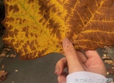夜深人静的语句摘抄_关于夜深人静的语句