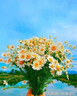 关于大万的唯美语录