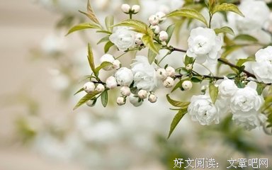 遇见你，人却边要带的得生遇见我句子大全