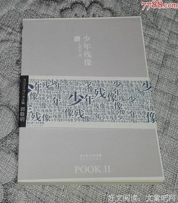 最全的《少年残像》佳句摘抄