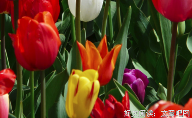 念句子大全