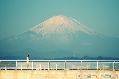 小清新~经典的句子