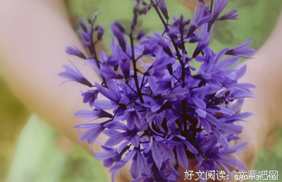 哲不好句子