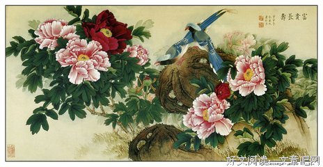 精选集